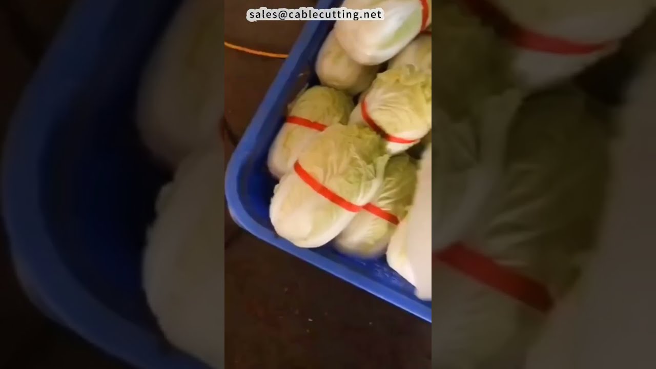 Balicí stroj na nudle, zelí a rukavice | Zařízení pro potravinářské provozy #továrna #stroj #diy