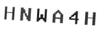 Verification Code Image